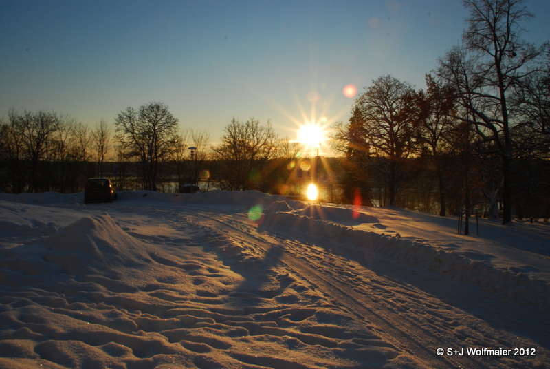 Afternoon sun in the snow