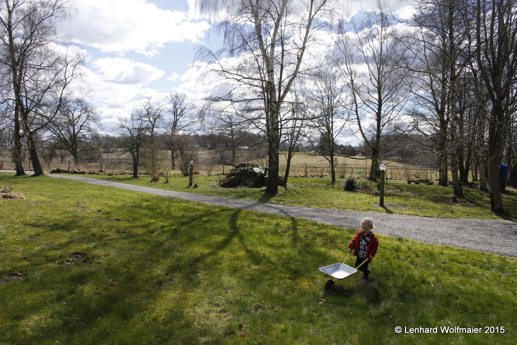 Trying the new wheelbarrow on our front lawn