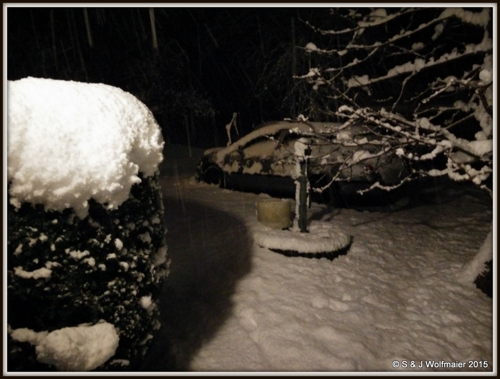 Snowed in car