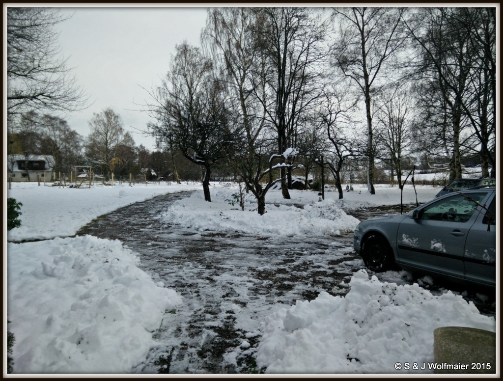 Cleared front yard