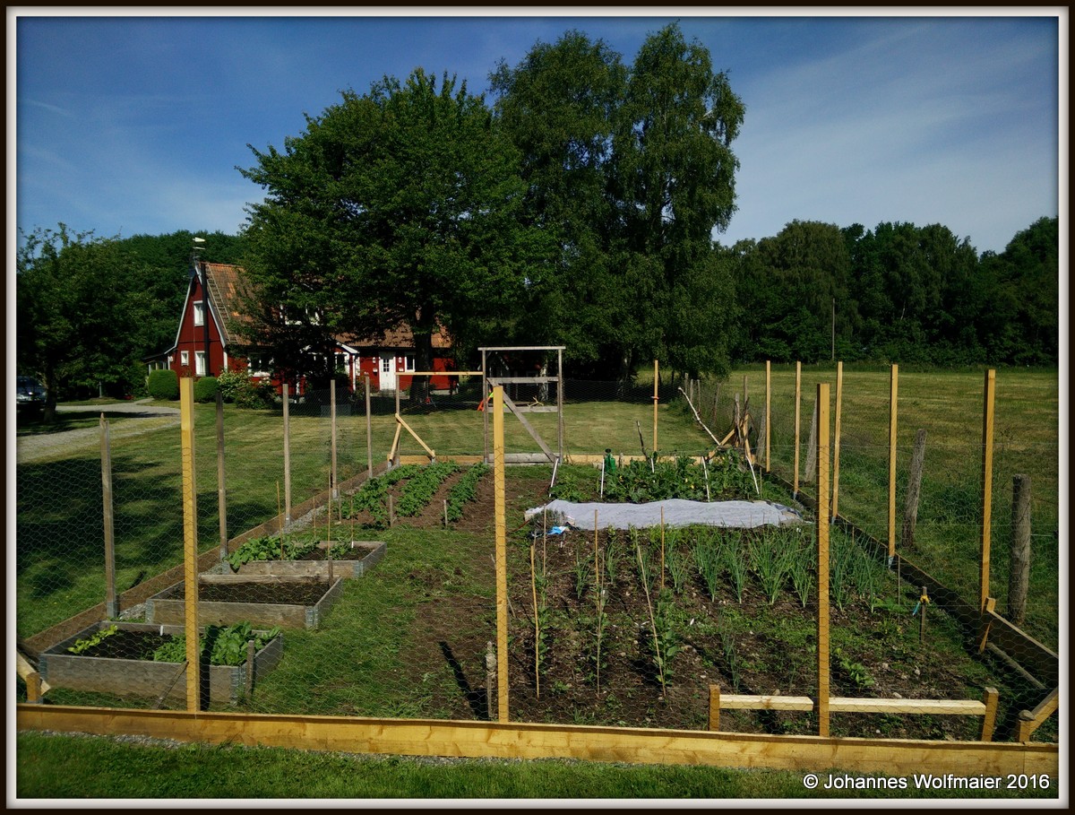 Our Garden