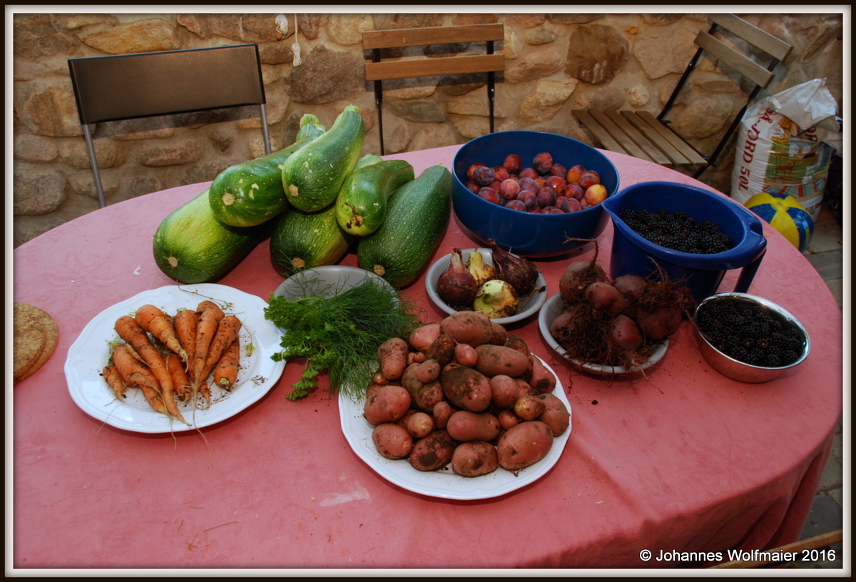 The harvest