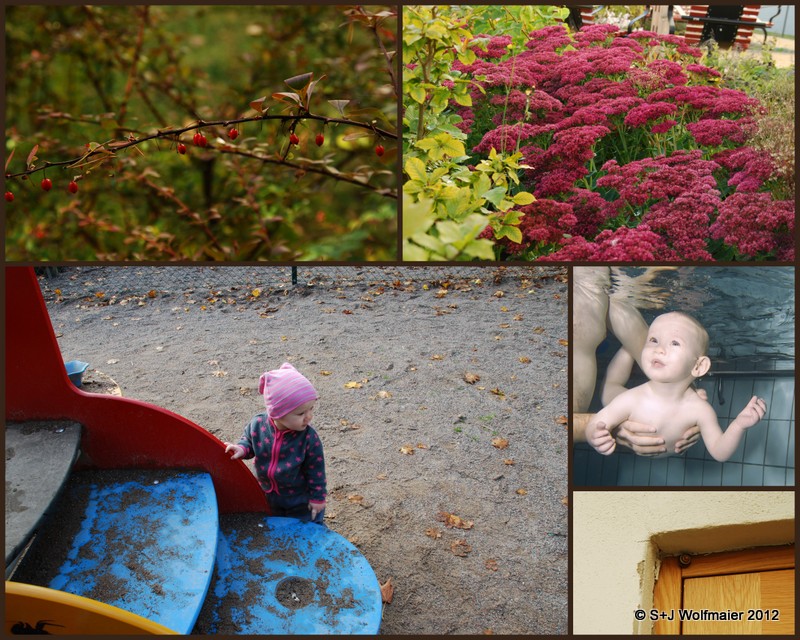 Some highlights, 5 pictures showing the autumn and our daughter
